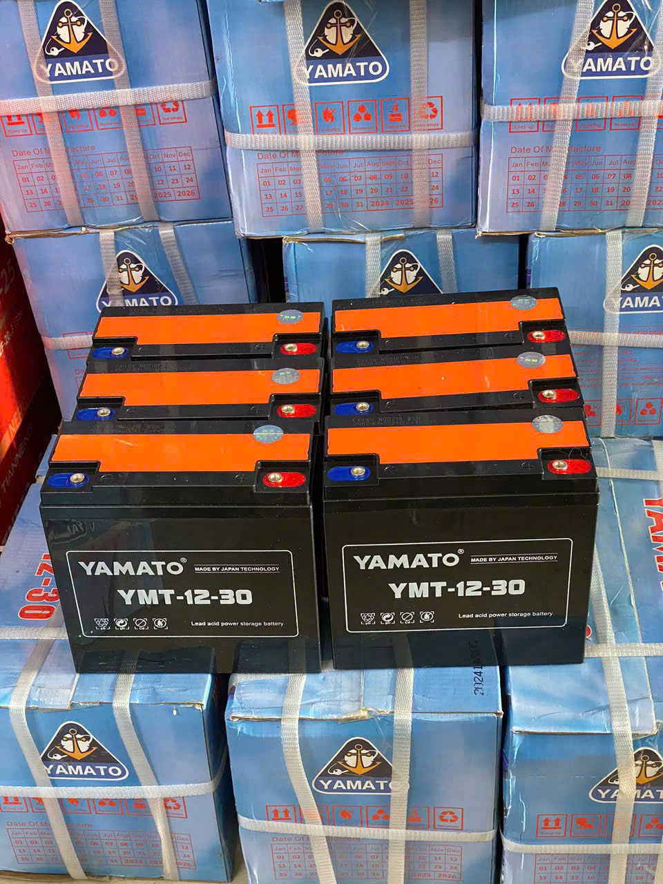 Ắc quy Yamato YMT 12-30