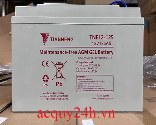 Ắc Quy Xe Điện Tianneng TNE12-125 (12V - 125Ah)
