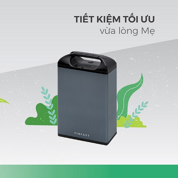 Pin Lithium Vinfast Ludo