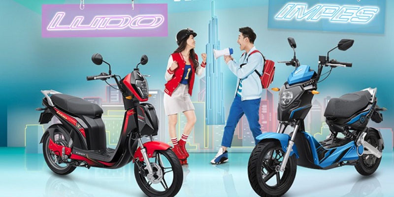 Pin Xe máy điện Vinfast Ludo