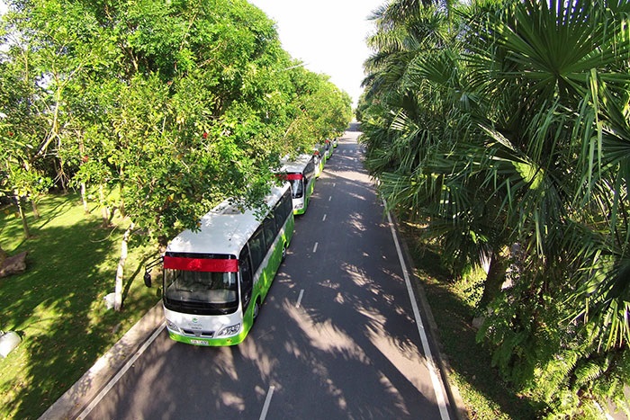 Hệ thống xe bus xanh khu đô thị EcoPark